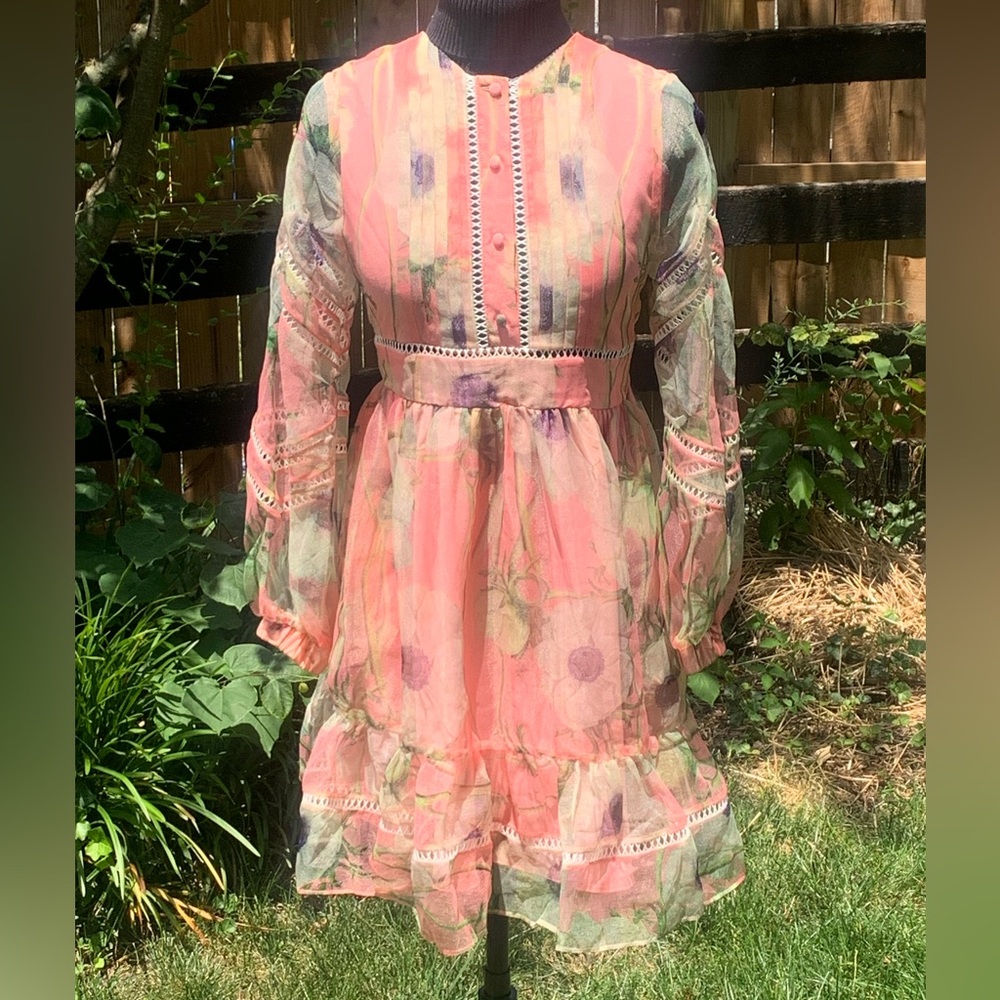 Cynthia Rowley Poppy Organza Peach Dress - Picture 14 of 15